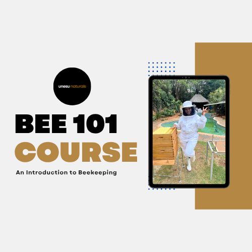 Bee 101 Course